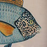 Tropical Fish Prints - Set of 2