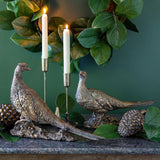 Pair of Bronze Pheasants