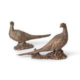 Pair of Bronze Pheasants