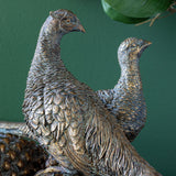 Pair of Bronze Pheasants