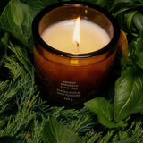 FLAMINGO ESTATE- Ancient Agrigento Olive Tree Candle