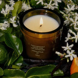 FLAMINGO ESTATE - Night Blooming Jasmine & Damask Rose Candle