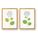 Hydrangea Prints in Bamboo Frames