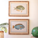 Tropical Fish Prints - Set of 2